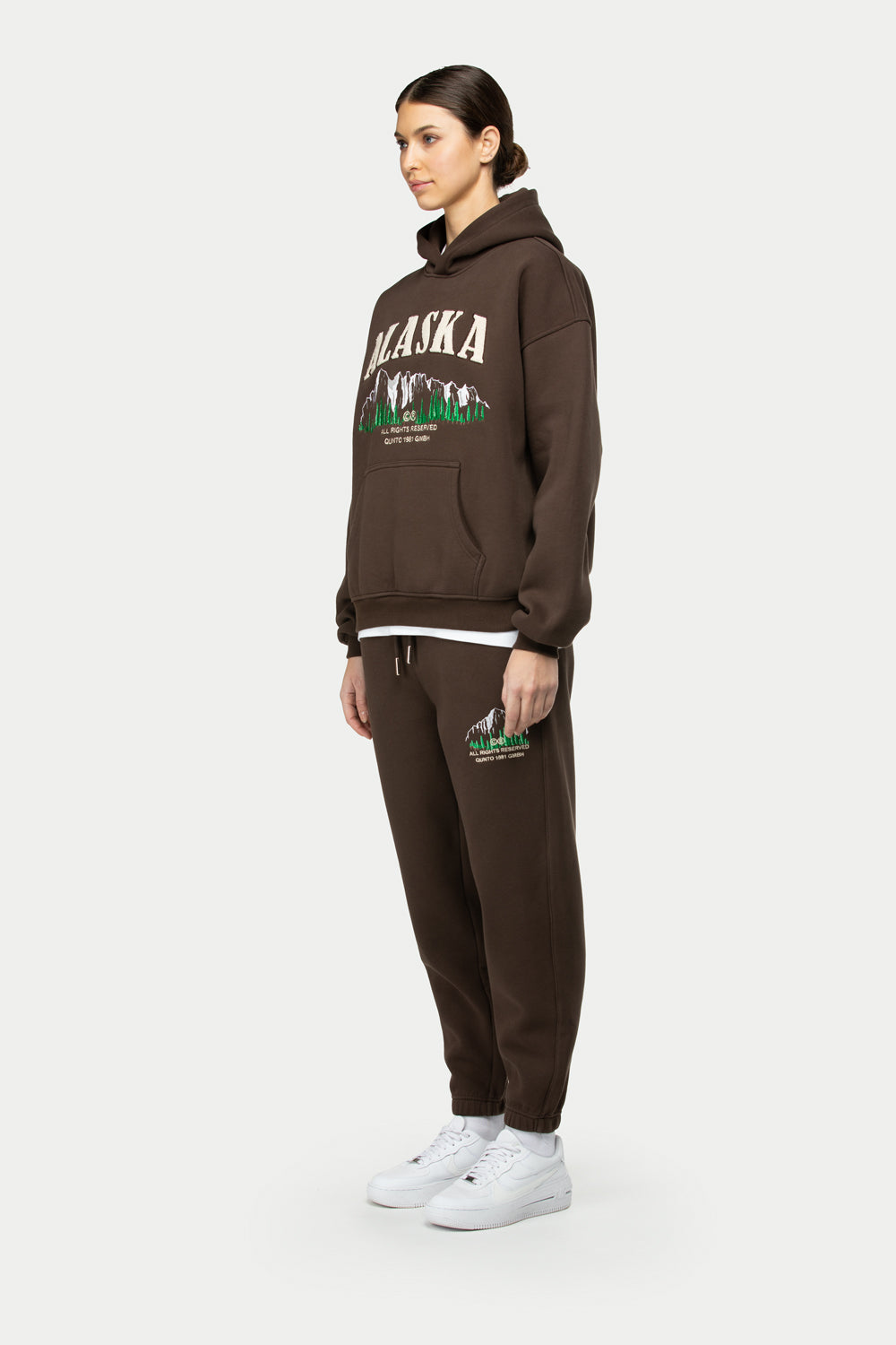 Alaska Foresight Hoodie Brown