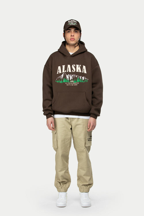 Alaska Foresight Hoodie Brown